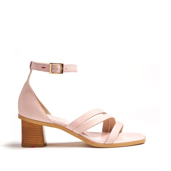 Newpeac.shop310817812c 3