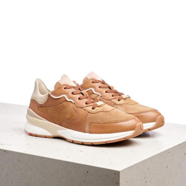 Newpeac.shop795606a94d 1