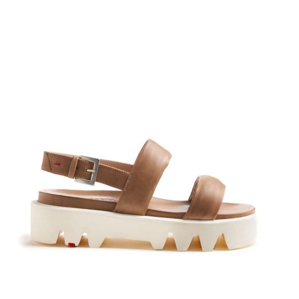 Newpeac.shopbea7da7e17 2