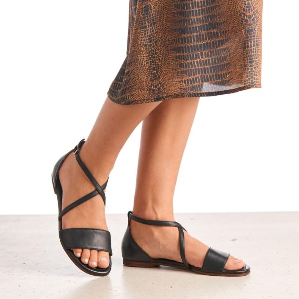 Newpeac.shopfb0c23cdd2 1